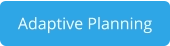 Adaptive Planning